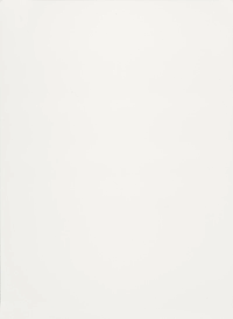 Alaska White PVC decorative membrane foil 0.35mm