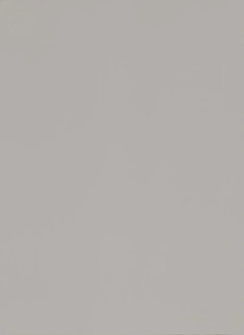 Beige 318 PVC decorative membrane foil 0.35mm