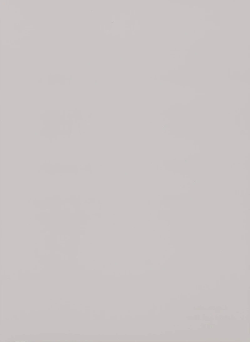 Cappuccino 303 PVC decorative membrane foil 0.35mm