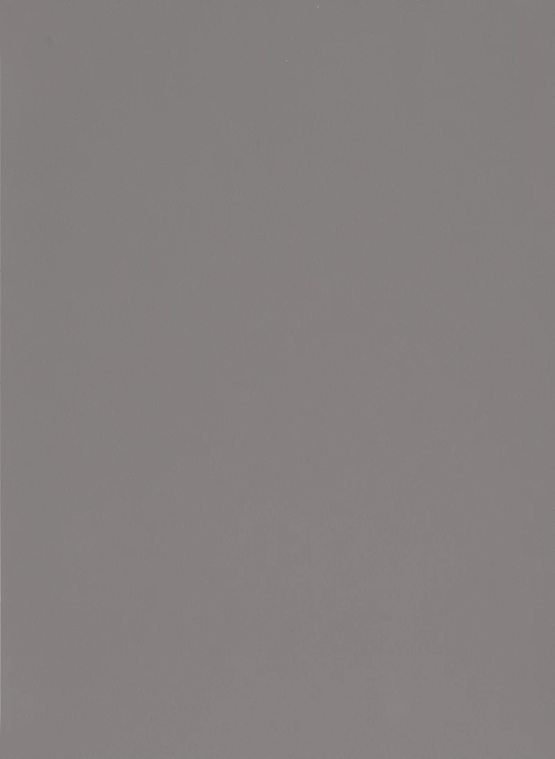 Gray Beige 506 PVC decorative membrane foil 0.35mm