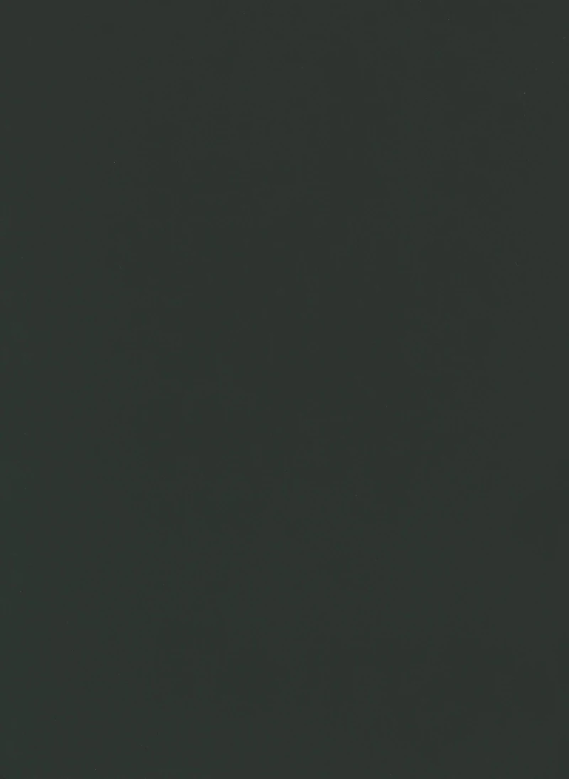 Oliva PVC decorative membrane foil 0.35mm