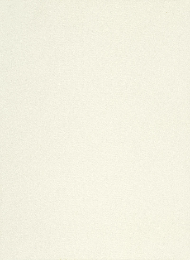 White Nubuck PVC decorative membrane foil 0.35mm